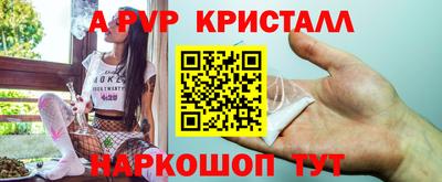 стафф Новокубанск