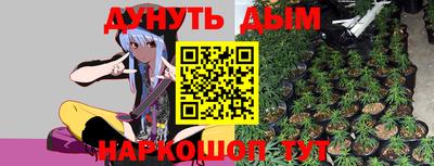 стафф Новокубанск