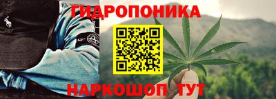 стафф Новокубанск